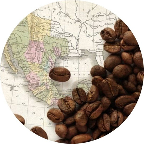 Coffee Arabica `Guatemala San Juan` 