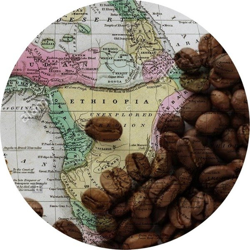 Coffee Arabica `Ethiopia Sidamo Mocha` 