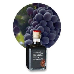 Domowy Dressing Balsamiczny `Aceto Balsamico di Modena Classico`